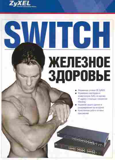 Буклет ZyXEL Switch Железное здоровье, 55-1252, Баград.рф